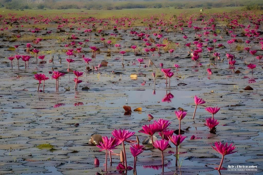 The Infinite Resort Nakhon Sawan Buitenkant foto