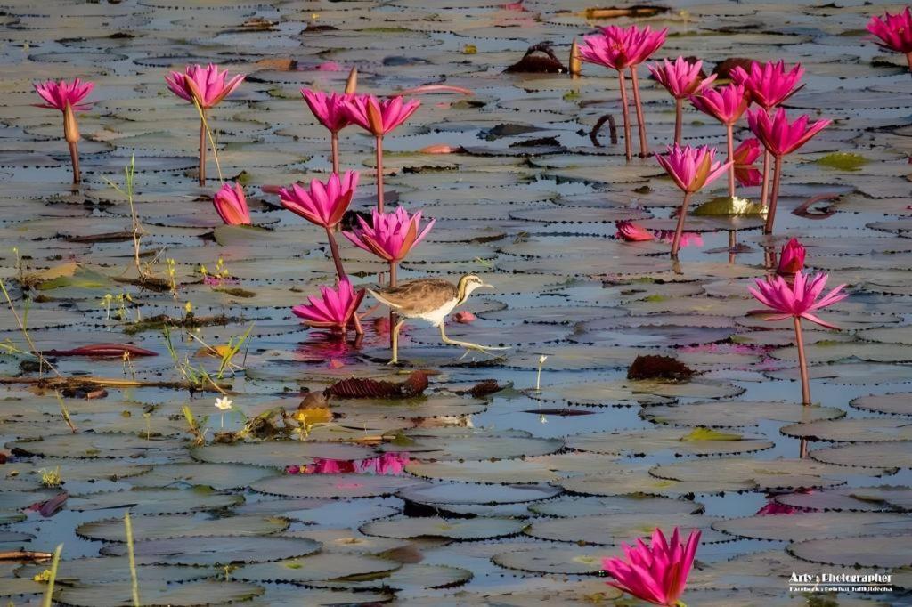 The Infinite Resort Nakhon Sawan Buitenkant foto